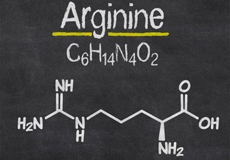 Pure L-arginine Powder.jpg